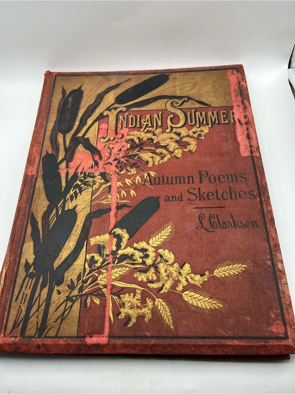 Vintage 'Indian Summer' Decorative Book Cover - Red and Gold 1880
